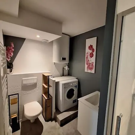 Belle Maison Au Bord Du Plan D'eau 別荘 Saint-Jean-dʼAngély